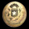 08 - Avers medaile „Organizátorům republiky“ se „státním znakem“ Nezáviské Guayany dává pravděpodobnou představu, jak asi mohl vypadat odznak „kunánské hvězdy“ na čepicích příslušníků kunánské legie.